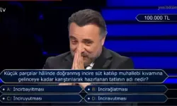 Küçük parçalar hâlinde doğranmış incire süt katılıp muhallebi kıvamına gelinceye kadar karıştırılarak hazırlanan tatlı?