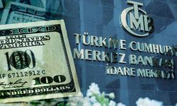 TCMB’nin Aralık Anketi: 2024 Dolar Kuru ve Enflasyon Tahmini Açıklandı