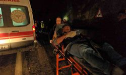 Köpeğe çarpmak istemeyen sürücü felakete yol açtı: 4 yaralı