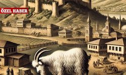 1699 yılından Joseph Pitton de Tournefort'un gözüyle Ankara