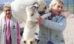 Ankara'da 20 milyonluk vurgun yapmıştı! "Köpek Velisi" Buket Özgünlü tutuklandı!