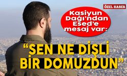 Kasiyun Dağı’ndan Esed’e mesaj: “Sen ne dişli bir domuzdun”