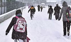 17 Aralık 2024: Artvin'de okullar tatil mi?