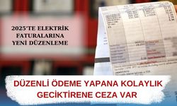 Elektrik faturalarında büyük değişiklik! Geciktirene ceza, düzenli ödeyene kolaylık var