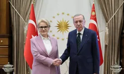 Meral Akşener Cumhurbaşkanı Yardımcısı olacak iddialarına danışmanından net yanıt geldi!