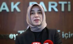 Özlem Zengin'in yeğeni için yaptığı anons AK Parti'de ortalığı karıştırdı