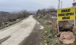 Şanlıurfa'da kuduz alarmı: Siverek’te iki mahalle karantinaya alındı!