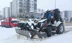 Ordu’da okullar tatil edildi