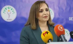 DEM'li Ayşegül Doğan'dan skandal açıklama: "Tek dil ve tek millet anlayışı kabul edilemez"