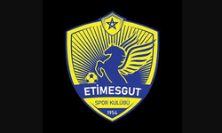 Etimesgut Belediyespor'un adı ve logosu resmi olarak değişti!