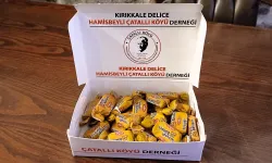 Kırıkkale Çatallı Köyü Derneği’nden 15. Yıl Kutlaması