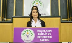 DEM'li Hatimoğulları'ndan "İmamoğlu" çıkışı: "Tüm seçilmişler serbest bırakılmalı"