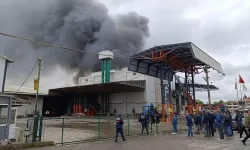 Sakarya’da Fındık Kırım Fabrikasında Büyük Yangın: Alevler Depo ve Üretim Alanını Sardı