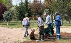 Sincan Belediyesi’nden yaz öncesi park ve bahçe mesaisi
