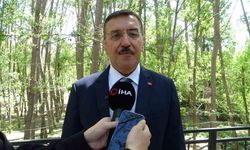 AK Partili vekil duyurdu! Zirai don destek ödemeleri başlıyor!