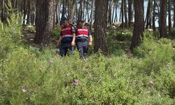 Bodrum’da Orman Nöbeti Başladı: Jandarma Termal Drone’larla Denetimde