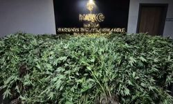 Bursa’da zehir tacirlerine darbe: 34 kişi tutuklandı