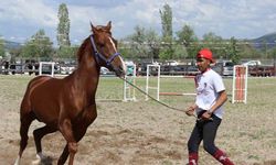 Çorum’da Uluslararası Atçılık Festivali düzenlendi! Atlar güzellikleriyle yarıştı