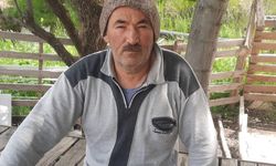 Denizli’de Kurbanlık Ağılına Kurt Girdi: 6 Kuzu Telef Oldu