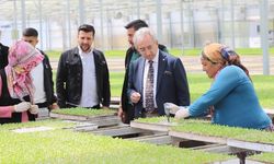 Gölbaşı Karaali MTAL öğrencileri Beypazarı’nda tarım ve hayvancılığı yerinde inceledi