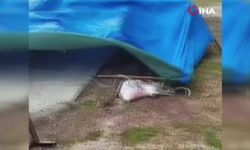 Rüzgar Esnafın Ekmeğiyle Oynadı: Mamak’ta Kurban Pazarı Harabeye Döndü