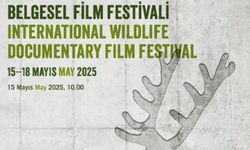 Ankara Uluslararası Yaban Hayatı Belgesel Film Festivali Başlıyor