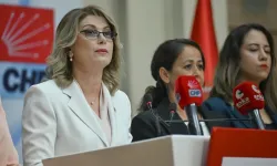 CHP’li Asu Kaya’dan İYİ Partili Toktaş’a Tepki: 'Kadınlar Adına İstifasını Talep Edeceğim'