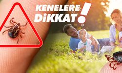 Yaz geldi kene tehlikesi arttı: KKKA'ya karşı uyarılar peş peşe geldi!