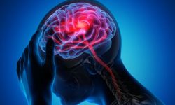 Klinik Psikoloji Araştırmaları Webinar Serisi Başlıyor