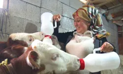 Ankara’da 4 çocuk annesi kadın tüm zorluklara rağmen çiftlik kurdu