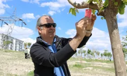 Engelsiz Bahar Şenliği’nde TEMAD Hatıra Ormanı’na fidan dikildi