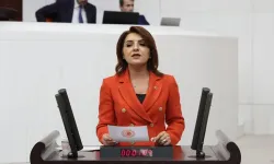 CHP'li vekilden ekonomi tepkisi: “Bu ekonomi Erdoğan’ın sseri, Şimşek sadece vitrin”