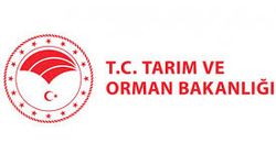 81 ilde başlıyor…Orman sevdalıları bu yıl da sahada!