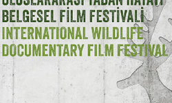 Ankara’da Bir İlk: Uluslararası Vahşi Yaşam Belgesel Film Festivali Başlıyor