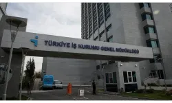 İŞKUR'dan açıkladı: Türkiye'de en fazla personel aranan meslekler belli oldu