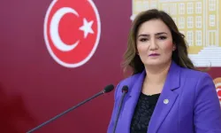 Hayattaki milletvekiline öldü dediler cevabı çok konuşuldu!