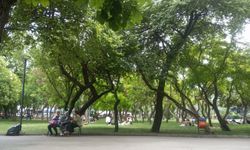 Ankaralıların Serinleme ve Sosyalleşme Noktası: Kurtuluş Parkı