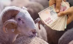 Kurbanlık fiyatlarına büyük zam: Bayram harcamaları vatandaşların cebini zorluyor