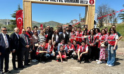 Keçiören’de Geleceğe Nefes: Meyve Fidanı Toprakla Buluştu