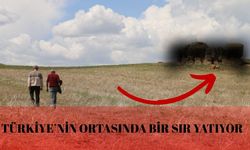 Ne bilim açıklayabildi ne halk! Sivas'taki gizemli kayalar şaşkınlık yaratıyor