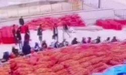 Ankara Polatlı'da soğan deposundaki kavga çıktı