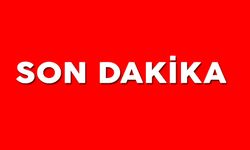 Terör örgütü PKK kararını duyurdu!
