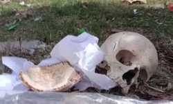 Ekmek toplarken hayatının şokunu yaşadı! Çöp konteynerinde insan kafatası buldu!