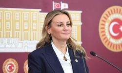 Deva Partisi'nden istifa eden kadın milletvekili o partiye geçti
