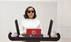 AK Parti'ye katılan Serap Özbudun Anayasa komisyonuna alınmayınca CHP'lilerin diline düştü