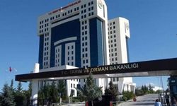 Domuz eti skandallarına 4 şirket daha eklendi