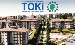 TOKİ duyurdu: Ankara'nın da bulunduğu 30 ilde 312 taşınmazı açık artırmayla satılacak