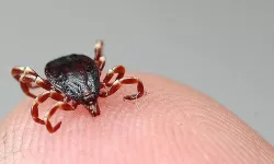 Çankırı’da KKKA Şüphesiyle Hastaneye Kaldırılan 5 Çocuk Annesi Kadın Hayatını Kaybetti