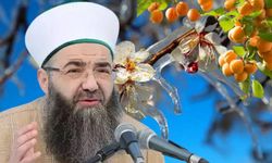 Cübbeli Ahmet’ten Zirai Don Yorumu: “Kayısılar Zinadan Yandı” Sözleri Tepki Çekti