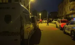 Daha önce mahmekelik olmuşlardı: 2 çocuk annesini öldürdüler!